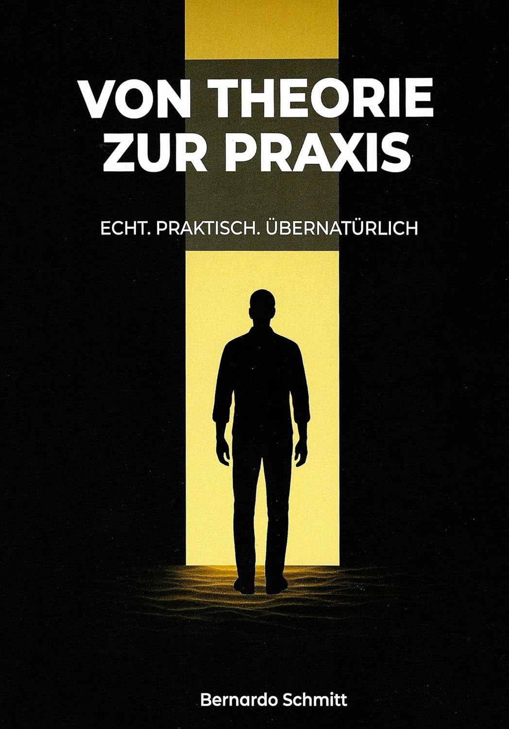 Von Theorie zur Praxis (Bernado Schmitt)