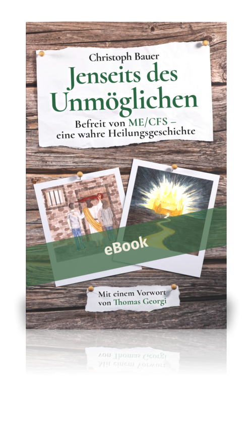 Jenseits des Unmöglichen (eBook)